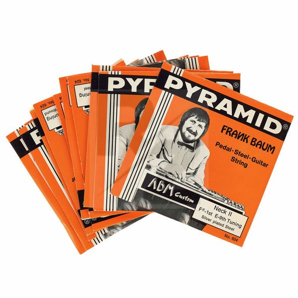 Image Pyramid E-9th Pedal Steel Set