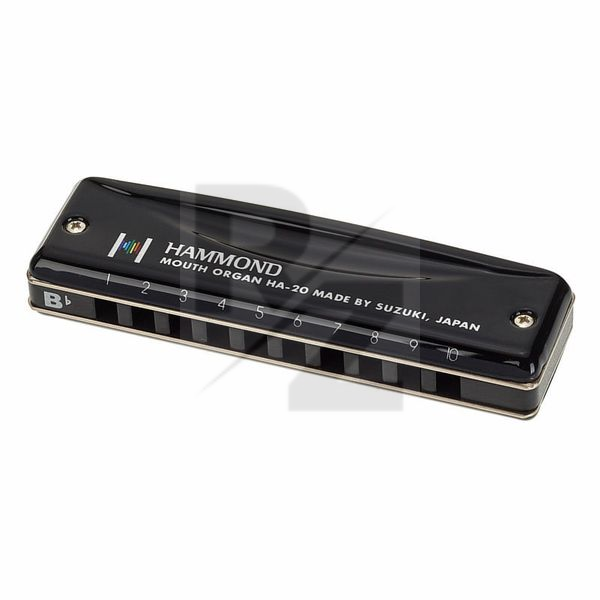 Image Suzuki HA-20 Hammond Bb