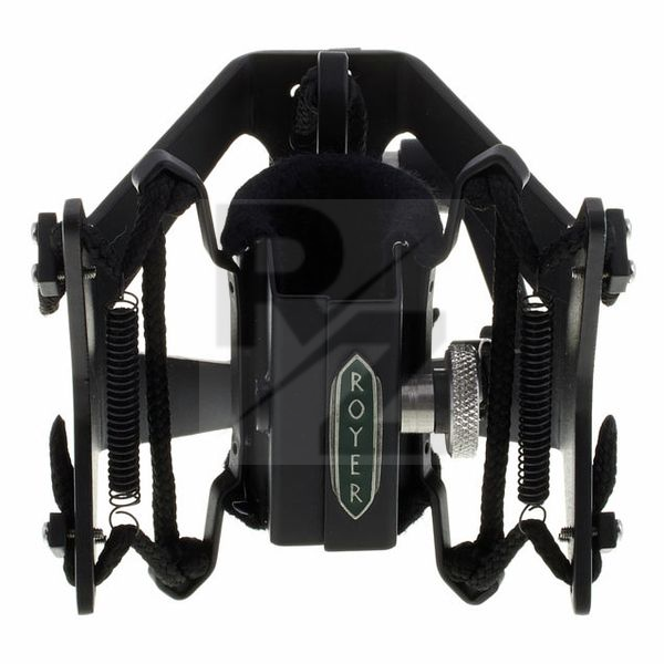 Image Royer Labs RSM-SS1