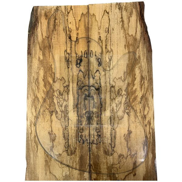 Image Fodera Emperor Elite 5 Spalted Mango