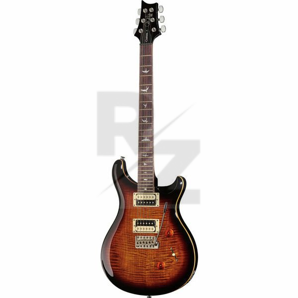 PRS SE Custom 24 BG Image PRS SE Custom 24 BG