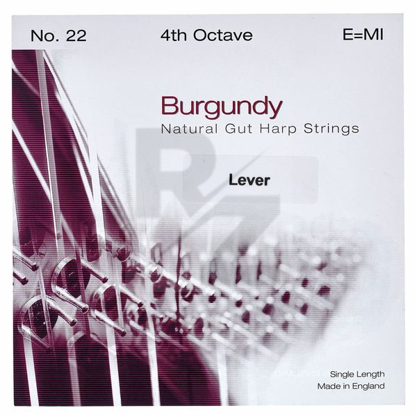 Image Bow Brand Burgundy 4th E Gut Str. No.22