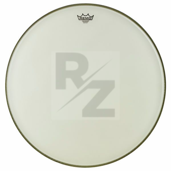 Image Remo 24 Renaissance Ambassador Bass