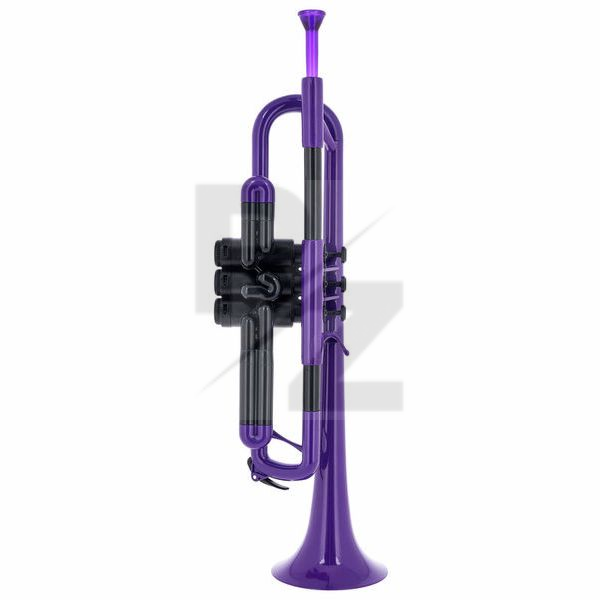 Image pTrumpet Trumpet Violet