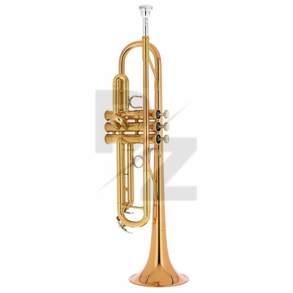 Image Yamaha YTR-6335RC Commercial
