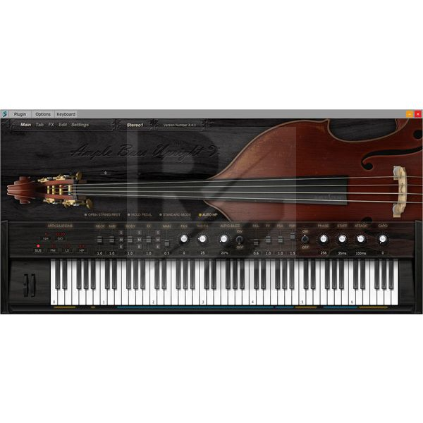 Image Ample Sound Ample Bass Upright III