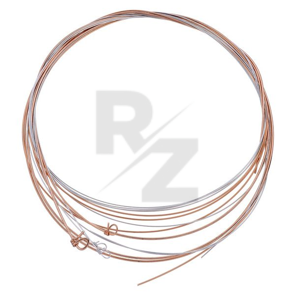 Image Meerklang 106/24 Tambura Strings