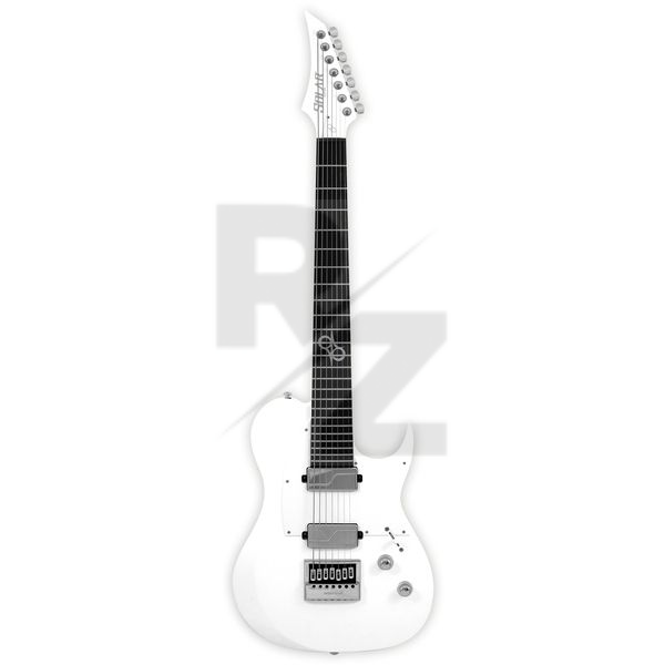 Image Solar Guitars T1.7 VINTER