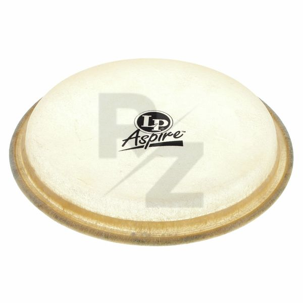 Image LP A663A Bongo Head Aspire 6 3/4