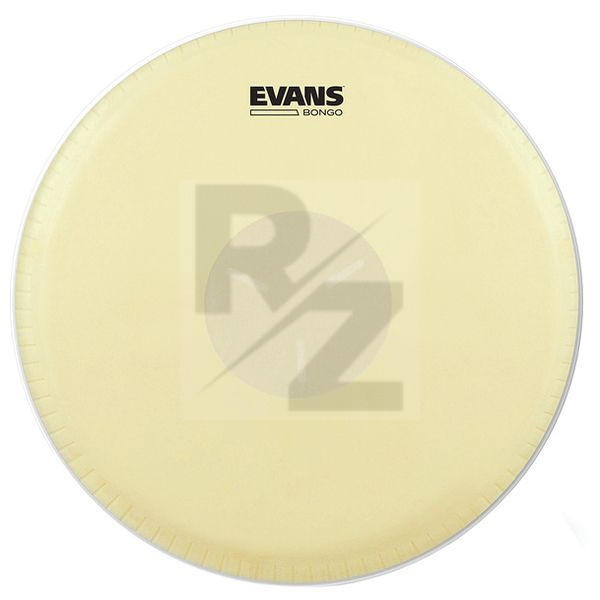 Image Evans EB07 7 1/4