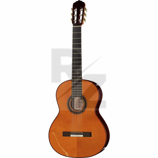 Amalio Burguet Fnegra DV Spruce Flamenco Image Amalio Burguet Fnegra DV Spruce Flamenco