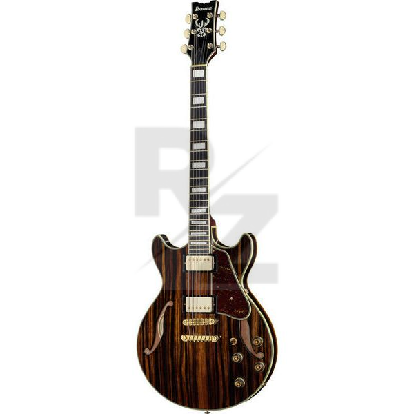 Image Ibanez AM93ME-NT