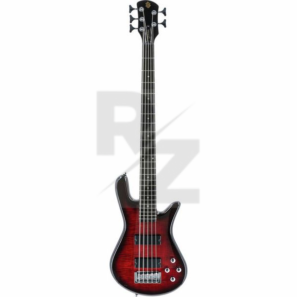 Image Spector Legend Standard 5 BCG