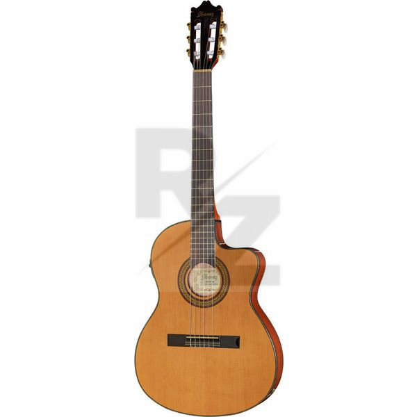 Image Ibanez GA5TCE-AM