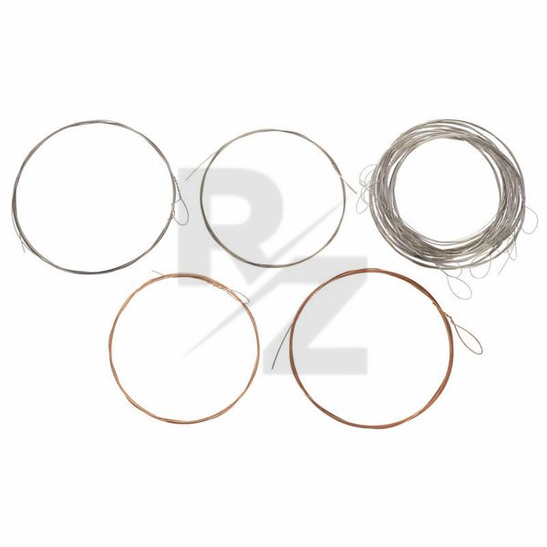 Image Thomann Nataraj Esraj Strings Set