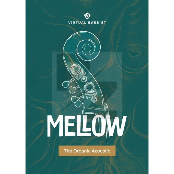 Image ujam Virtual Bassist Mellow 2