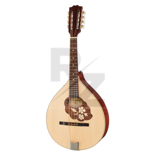 Image Thomann Europe Mandola M1088-P