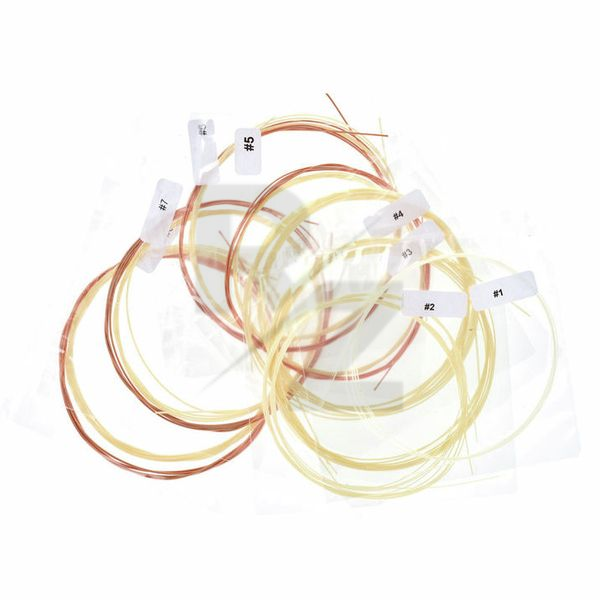 Image Aquila Renaissance Lute Strings 8C