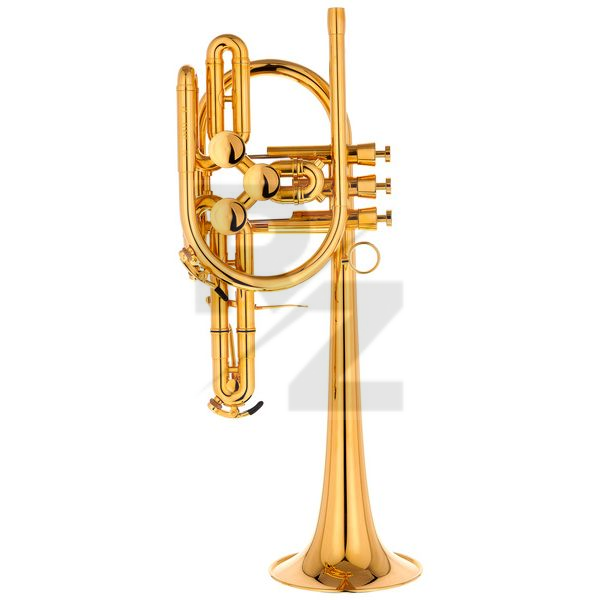 Image Schagerl Raweni Bb-Trumpet