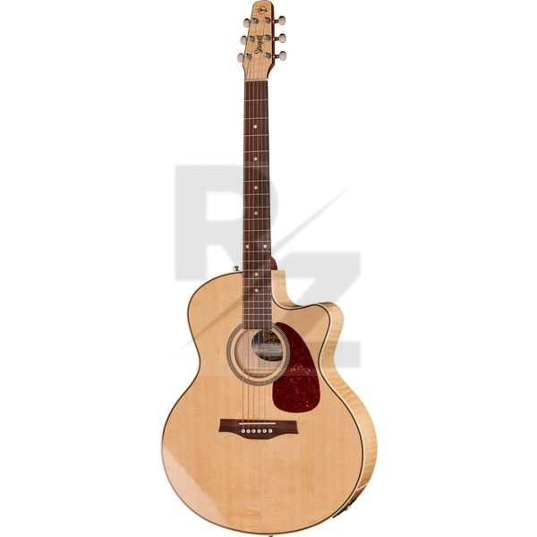 Image Seagull Performer Mini-Jumbo FM Presys