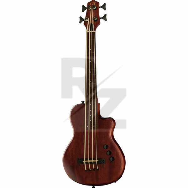 Image Gold Tone ME-BASS/Fretless