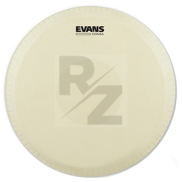 Image Evans EC1175 11 3/4