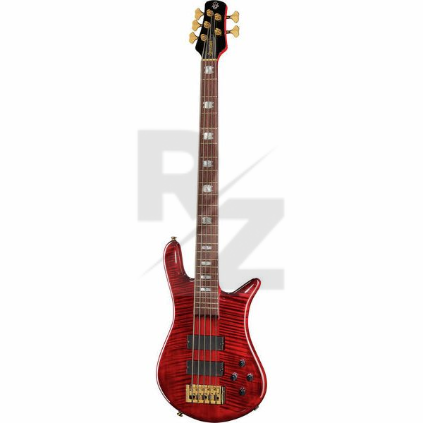 Image Spector Euro LX 5 BCG