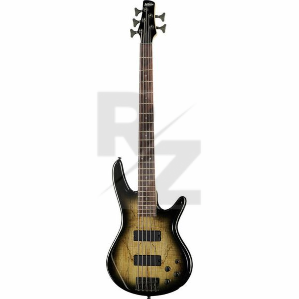 Image Ibanez GSR205SM-NGT