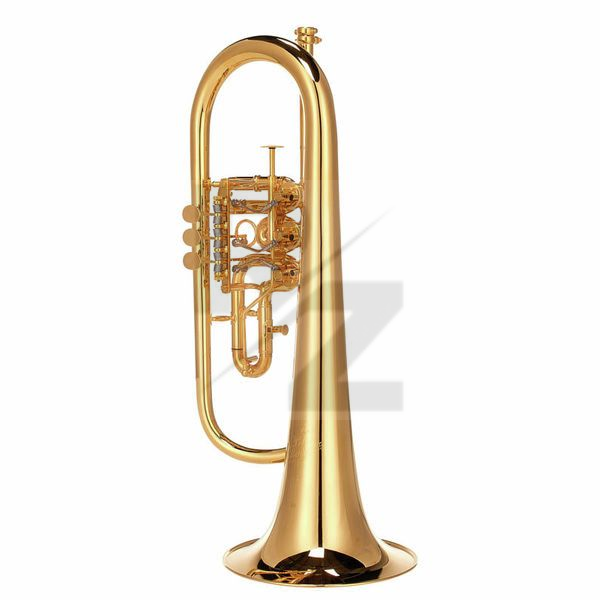 Image Peter Oberrauch Rosengarten Flgh 10,95 GP