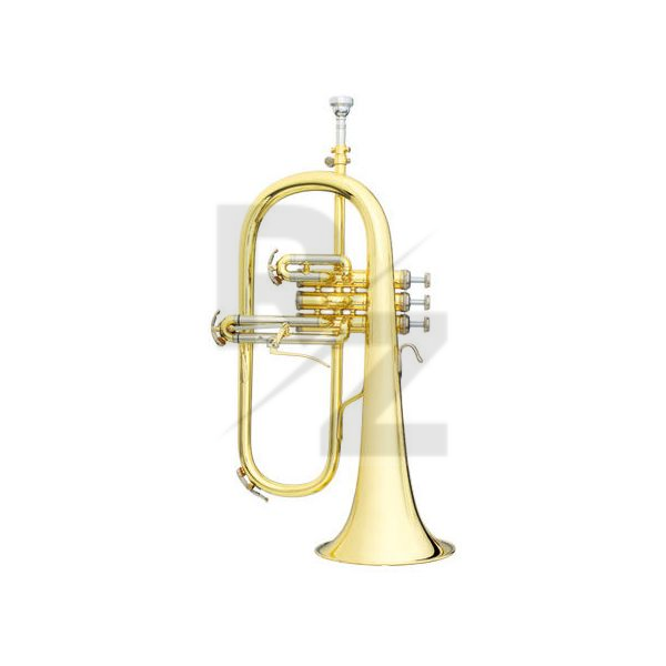 Image B&S 3145G-L Challenger I