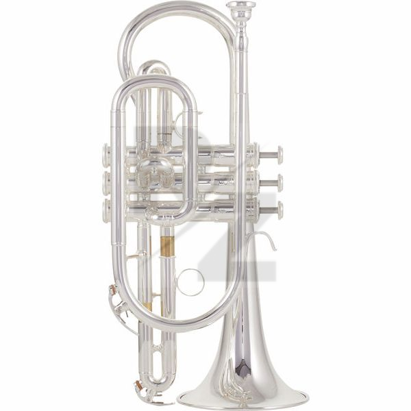 Image Yamaha YCR-4330 GSII Cornet