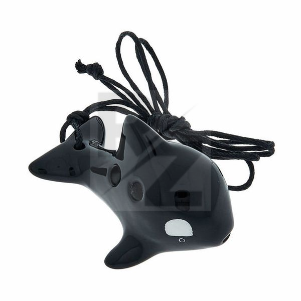 Image Thomann 4H Whale English System