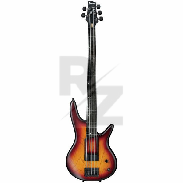 Image Ibanez GWB205-TQF