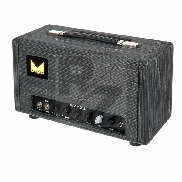 Image Morgan Amplification MVP23 Head
