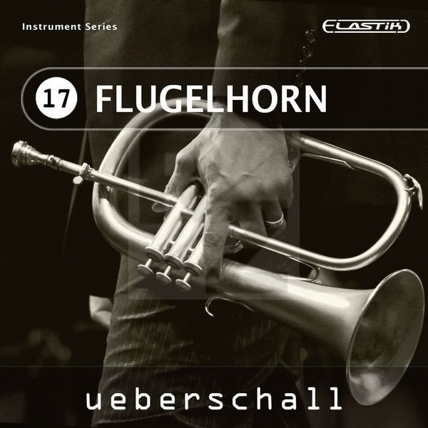 Image Ueberschall Flugelhorn