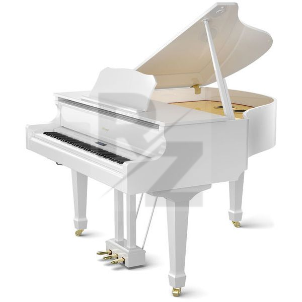 Image Roland GP-609 PW