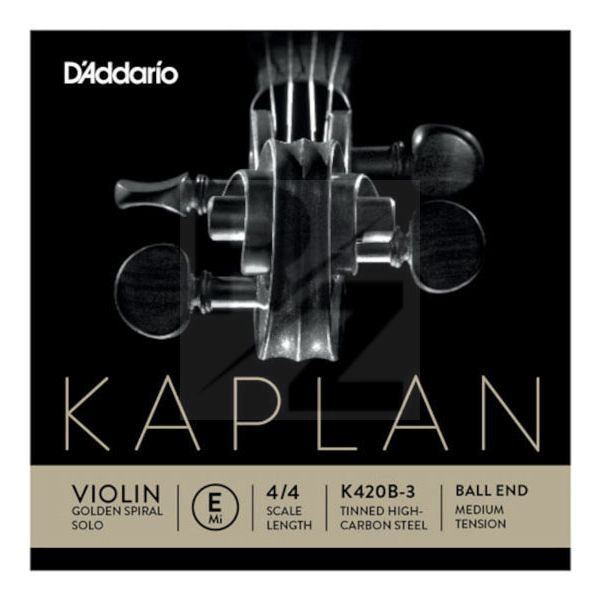 Image Kaplan Golden Spiral Solo E Loop