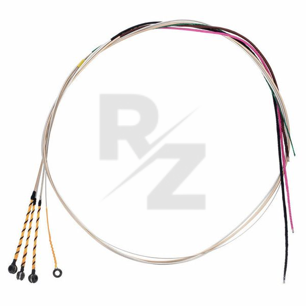 Image Pirastro Evah Pirazzi G-Gold BE / L