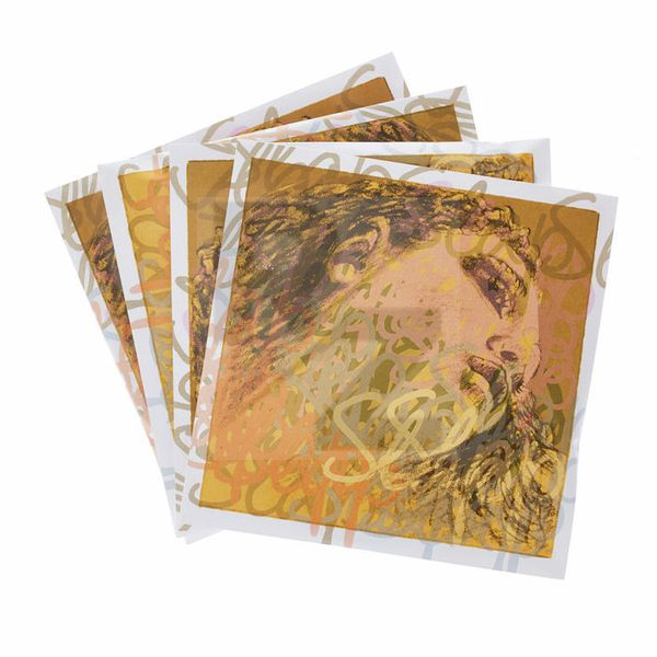 Image Pirastro Evah Pirazzi Slap Strings Syn.