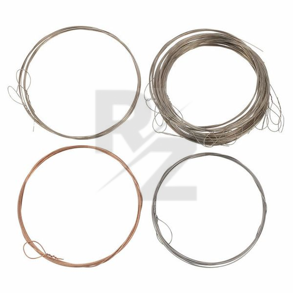 Image Thomann Nataraj Dilruba Strings Set