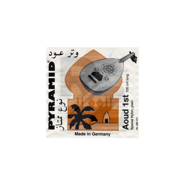 Image Pyramid Super Aoud Strings 10 Strings