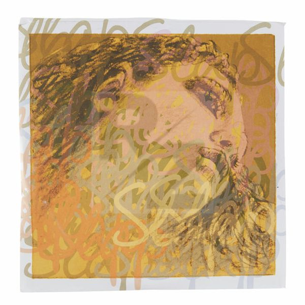 Image Pirastro Evah Pirazzi Slap E String