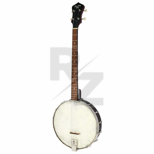 Image Recording King RKT-05 Dirty 30s Tenor Banjo