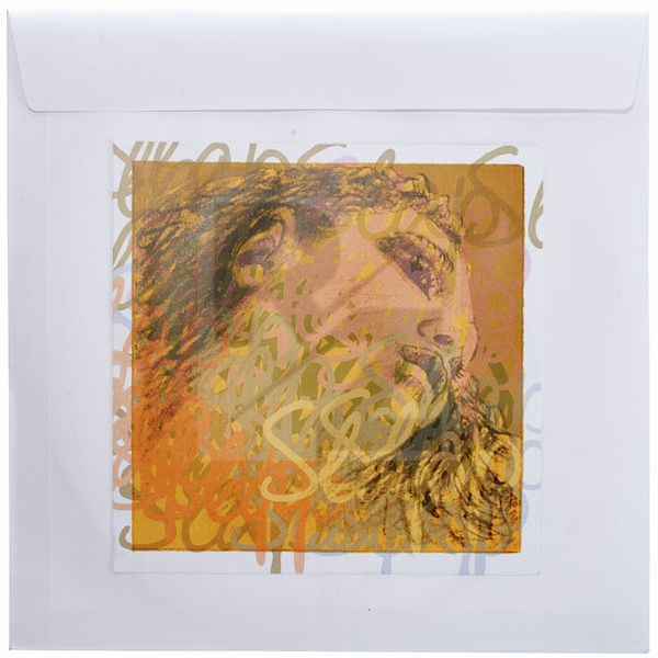 Image Pirastro Evah Pirazzi Slap D String Gut