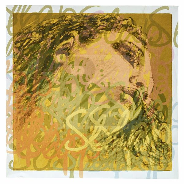 Image Pirastro Evah Pirazzi Slap D String Syn