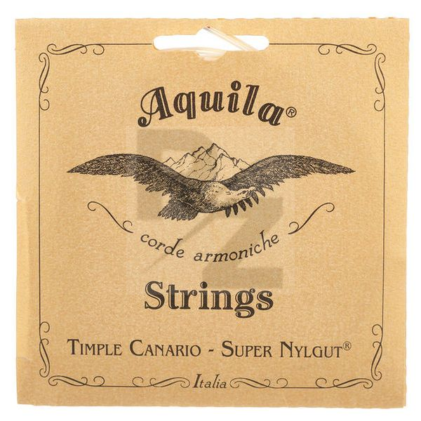 Image Aquila 13CH Nylgut Series