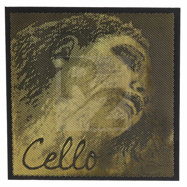 Image Pirastro Evah Pirazzi Gold Cello C Str.