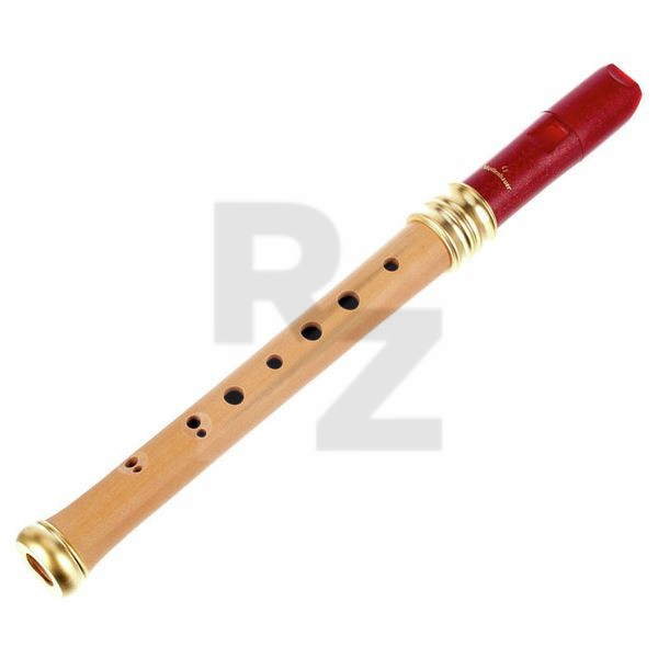 Mollenhauer 1119R Adris Dream Recorder Image Mollenhauer 1119R Adris Dream Recorder