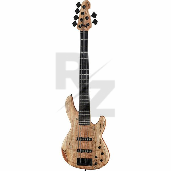 Image Sandberg Panther 6 TT spalted maple