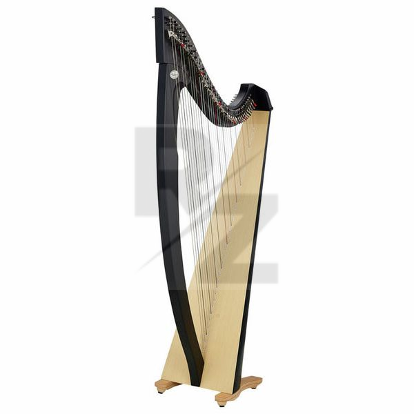 Salvi SALTIT-ESS Titan Ebony Image Salvi SALTIT-ESS Titan Ebony